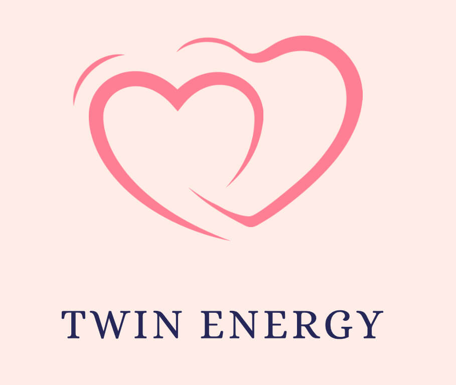Twin Energy logo